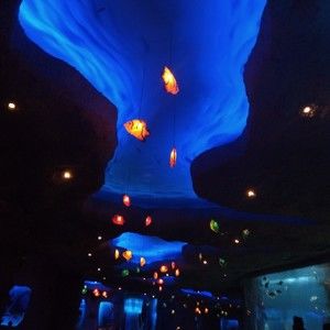 Meet your Posher, Lané